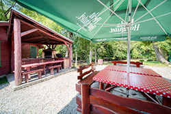 Grill pensiunea Zetevar