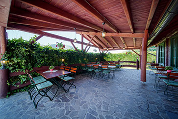 Terasa restaurant Penziunea Zetevar